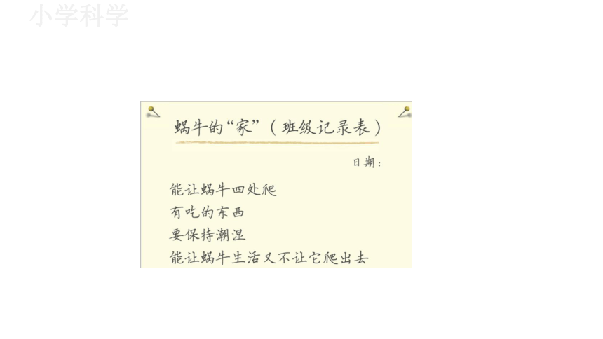 教科版（2017秋）一年级下册2.4给动物建个“家”课件（14张PPT)