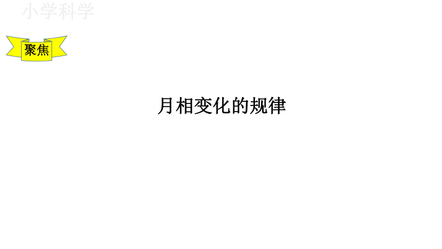 教科版（2017秋）三年级下册3.4月相变化的规律课件（17张PPT)