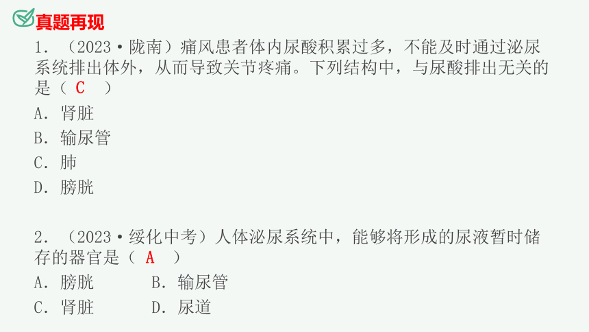 专题13 人体内废物的排出（课件精讲）-2023-2024年中考一轮复习精讲精练（全国通用）(共23张PPT)