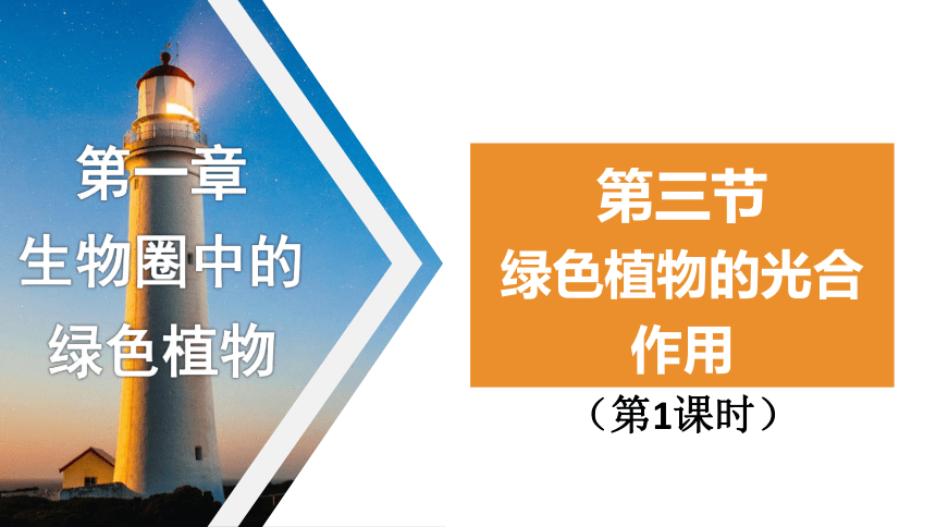 2.1.3 绿色植物的光合作用 （第1课时)课件(共26张PPT+内嵌视频1个)2023--2024学年济南版生物七年级上册