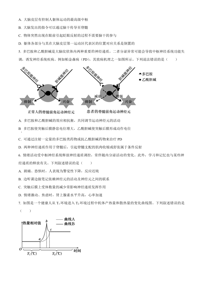 山东省烟台市2023-2024学年高二上学期期中考试生物（含解析）