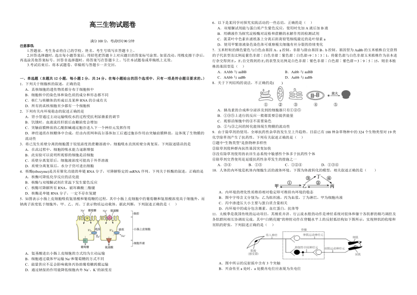 江西省部分学校2023-2024学年高三上学期期中考试生物试题(有答案)