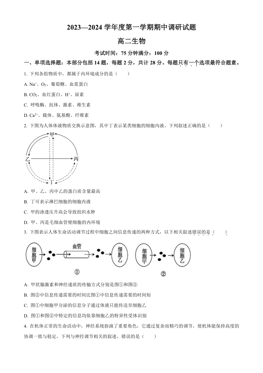 江苏省扬州市邗江区2023-2024学年高二上学期期中调研测试生物（解析版）