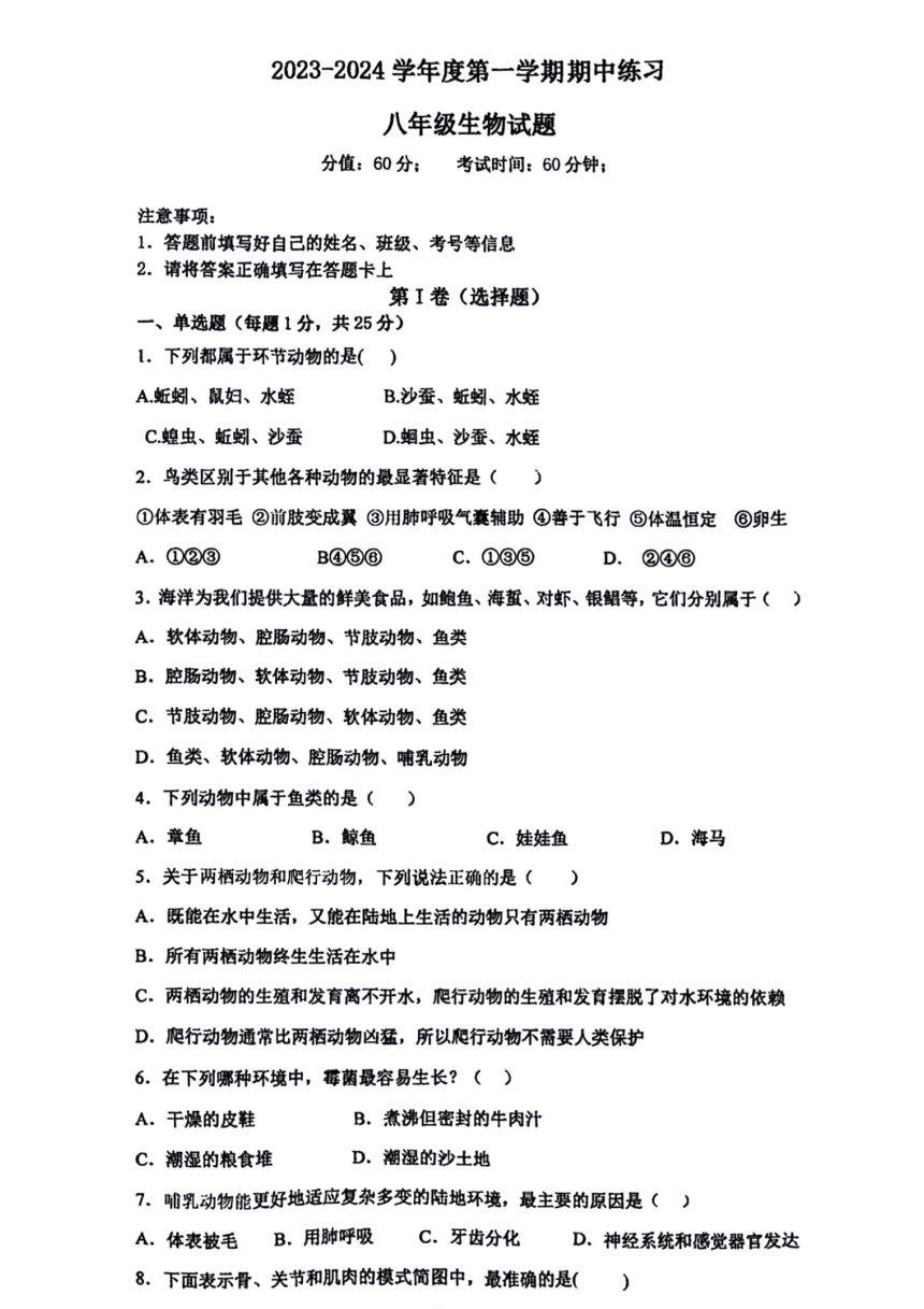陕西省西安市五环中学2023-2024学年八年级上学期期中生物试题（PDF版无答案）