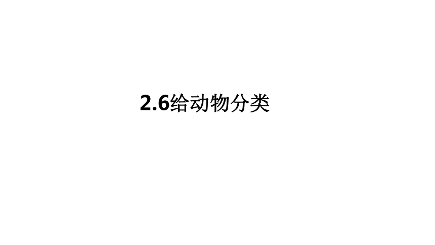 教科版（2017秋）一年级下册2.6给动物分类课件（17张PPT)