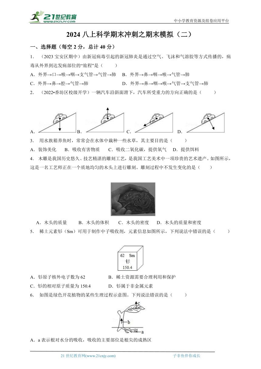 2023-2024年华师大版初中科学八上期末冲刺之期末模拟（二）（含答案）