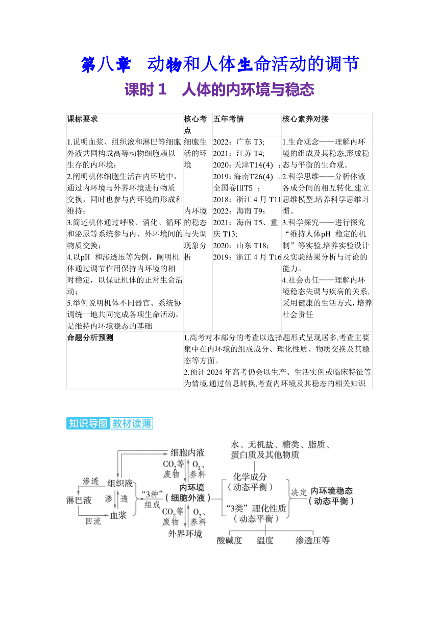 生物学高考备考学案：8-1  人体的内环境与稳态（含答案）