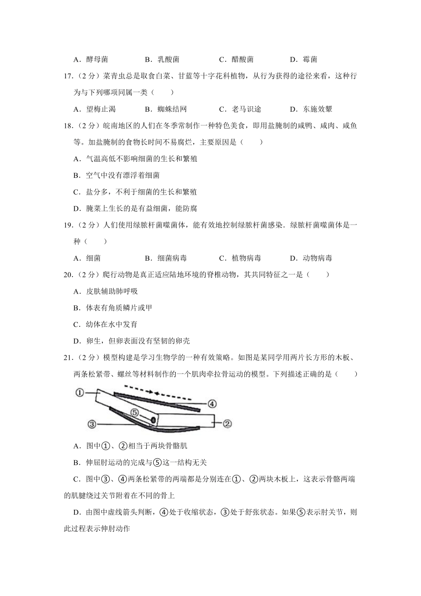 安徽省合肥市肥西县2023-2024学年八年级上学期期末生物试卷（含解析）