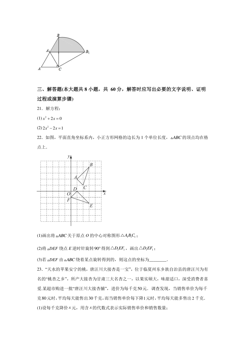 甘肃省兰州市城关区第五十六中学2023-2024学年九年级上学期期末数学试题（含解析）