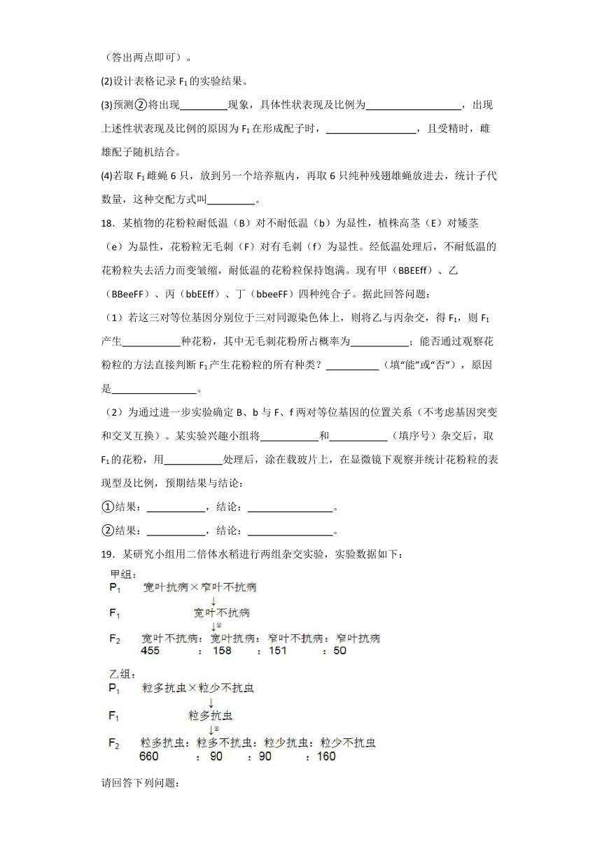 2.2基因伴随染色体传递同步练习2023-2024学年高一下学期生物浙科版必修2（含答案解析）