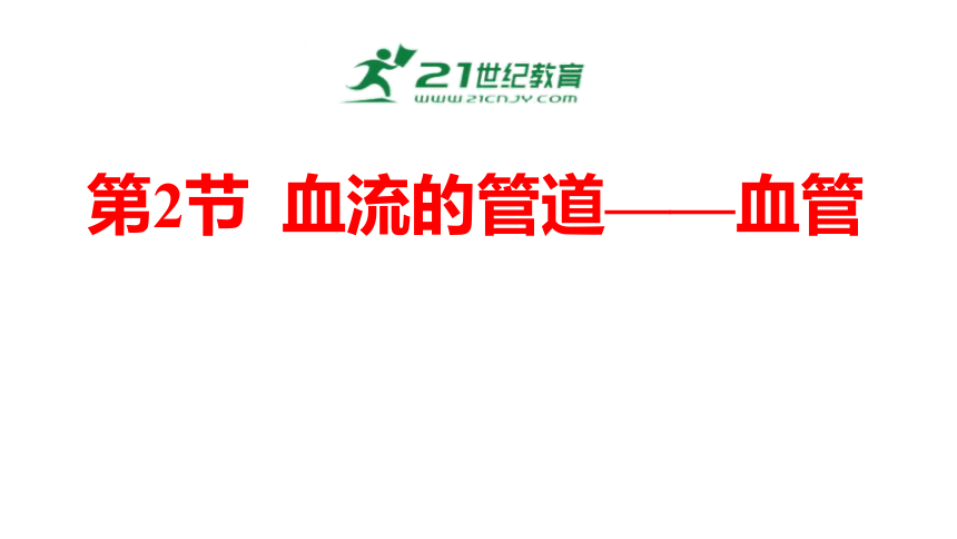 4.4.2血流的管道——血管【课件】2023-2024学年度人教版生物七年级下册(共22张PPT)+视频素材