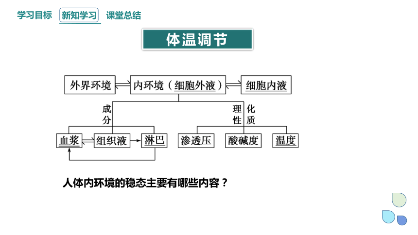 3.3.1 体液调节与神经调节的关系  课件(共25张PPT) 2023-2024学年高二生物人教版（2019）选择性必修1