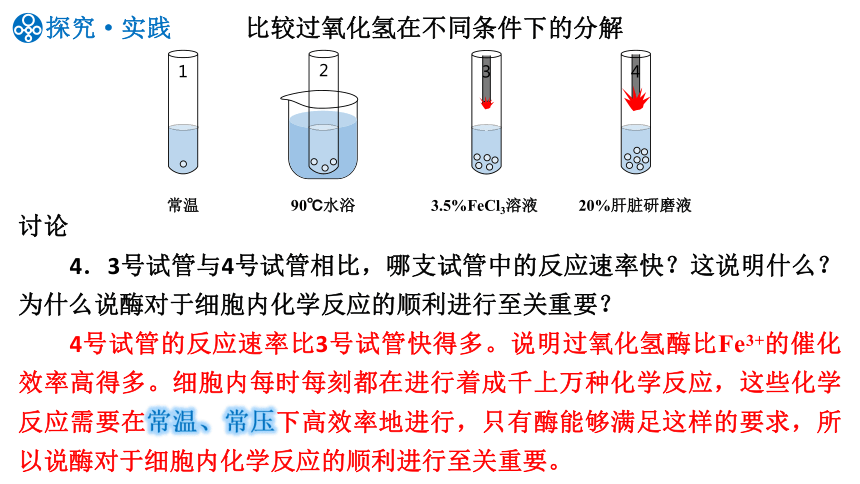 5.1.1降低化学反应活化能的酶(第1课时）课件（共23张PPT1个视频）人教版（2019）必修1
