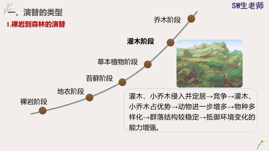 2.3 群落的演替(共36张PPT)