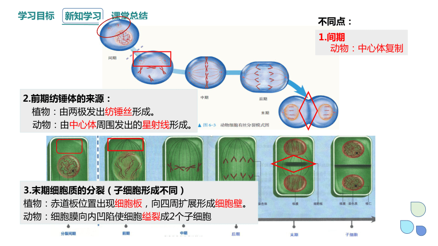 6.1.2 细胞的增殖 课件 (共22张PPT)2023-2024学年高一生物人教版（2019）必修1