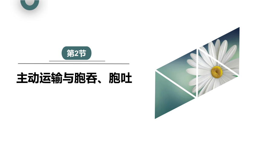 4.2 主动运输与胞吞、胞吐 课件 (共21张PPT1份视频)2023-2024学年高一生物人教版（2019）必修1