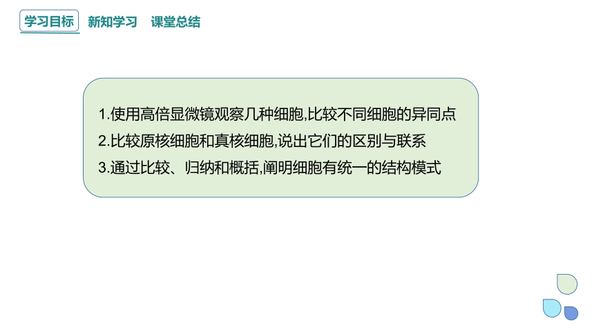 1.2 细胞的多样性和统一性 课件(共26张PPT) 2023-2024学年高一生物人教版（2019）必修1