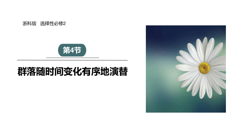 2.4 群落随时间变化有序地演替 课件 (共29张PPT)2023-2024学年高二生物浙科版（2019）选择性必修2