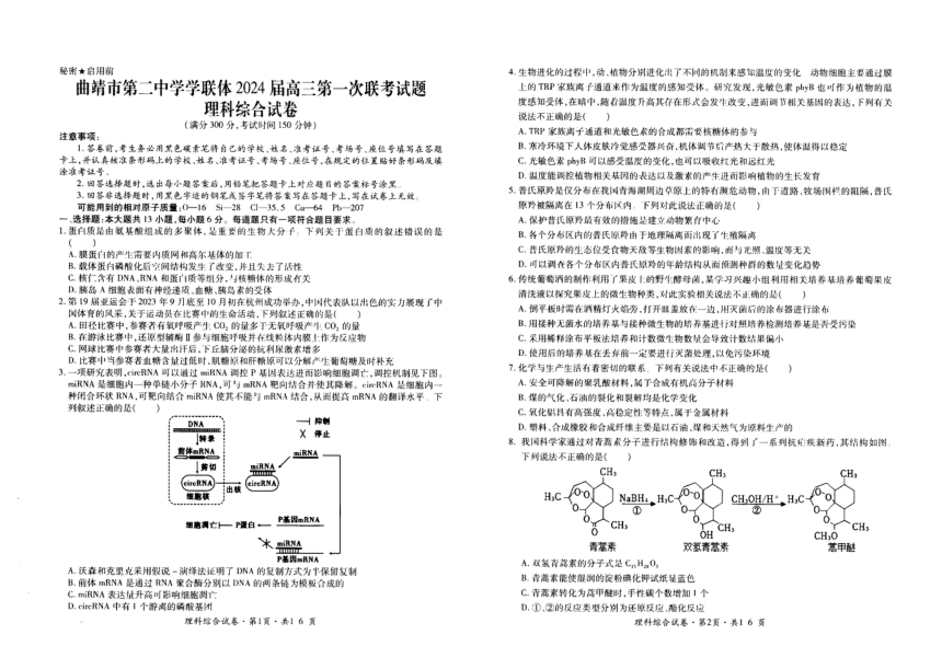 2024届云南省曲靖市第二中学学联体高三上学期第一次联考理综试卷（PDF版无答案）