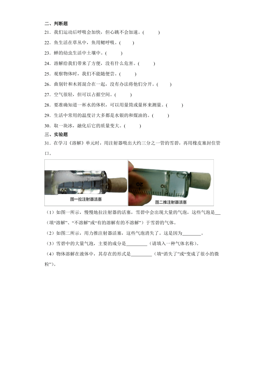 粤教粤科版（2017秋）小学科学 三年级上册 2023-2024学年高频易错卷（四）（含解析）