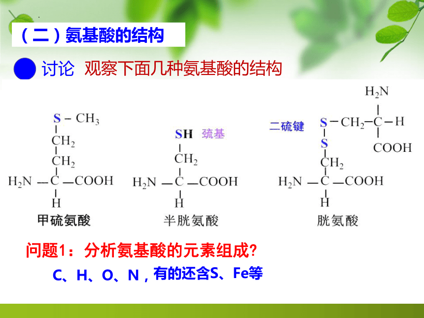 2.4蛋白质是生命活动的主要承担者课件（共43张PPT） 生物人教版必修1