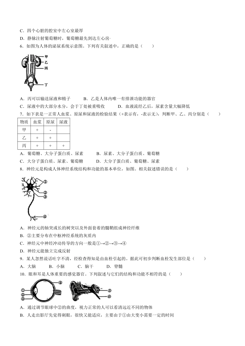 陕西省渭南市临渭区2023-2024学年八年级上学期期末教学质量调研生物试题 （word版 含答案）