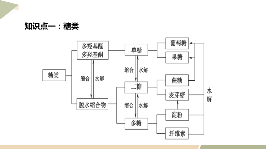 第四章  章末复习  课件（共22页） 2023-2024学年高二化学人教版（2019）选择性必修3