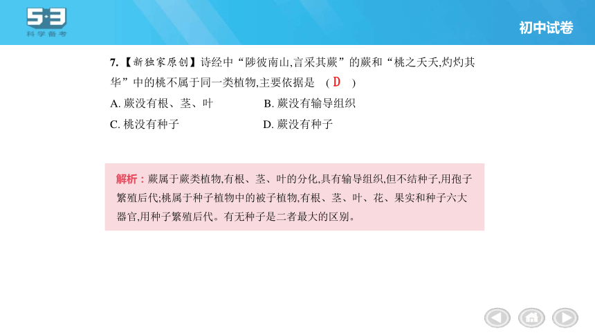 第6单元 生物的多样性及其保护习题课件(共34张PPT)人教版八年级上册