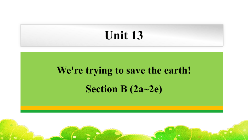 Unit 13 We're trying to save the earth Section B 2a-2e课件（共40张ppt，含内嵌视频）人教版英语九年级全一册