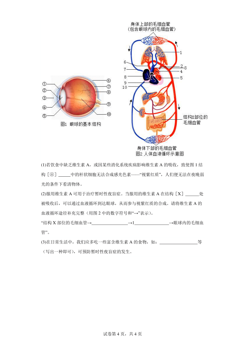 4.6.1人体对外界环境的感知 分层作业 七年级生物下册人教版（含解析）