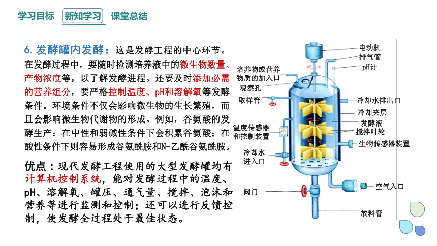 1.3 发酵工程及其应用  课件(共21张PPT) 2023-2024学年高二生物人教版（2019）选择性必修3