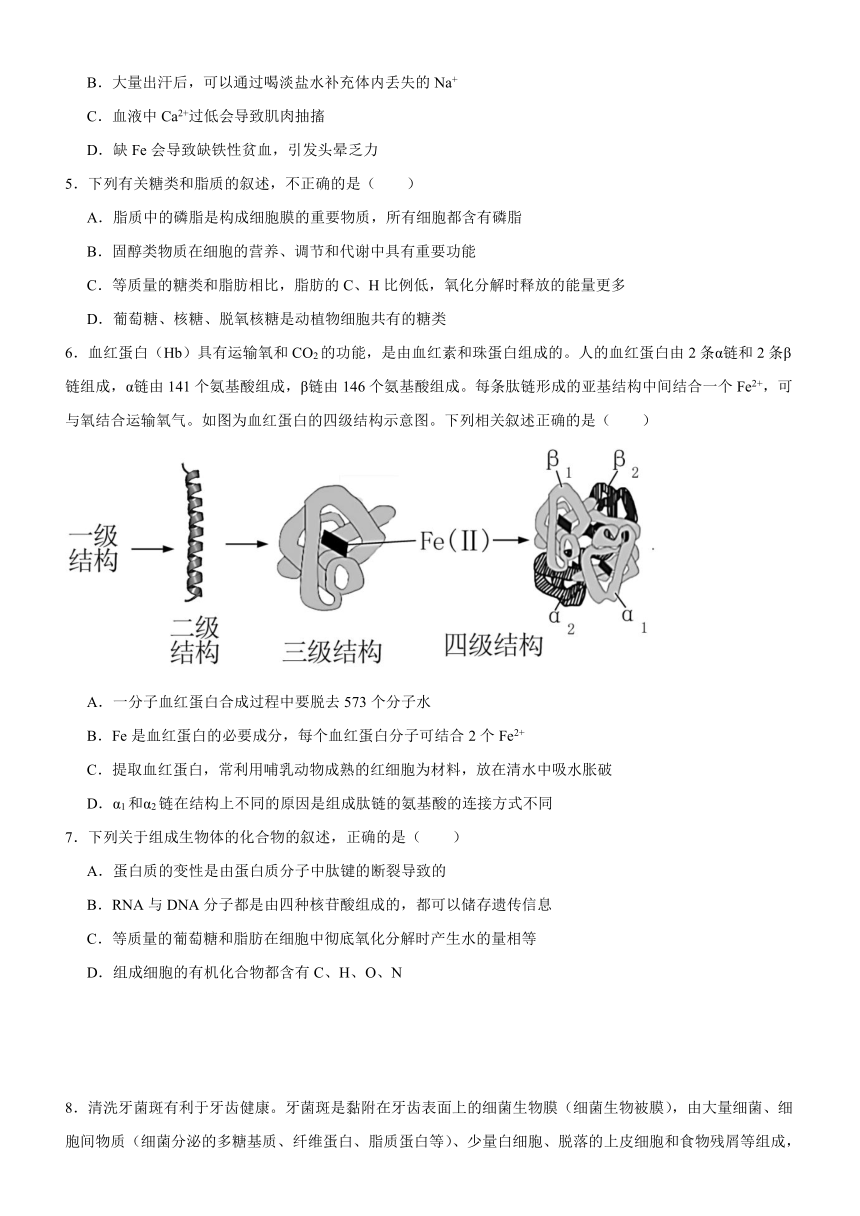 广东省阳江市高新区2023-2024学年高一上学期1月期末测试生物学试题（含答案）