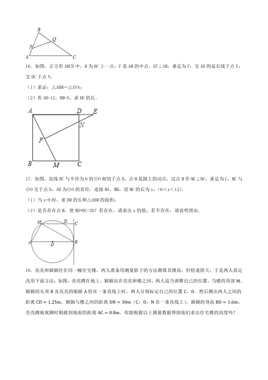 2023_2024学年苏科版数学九年级下册第6章 图形的相似（含答案）期末易错题型巩固练习（含答案）