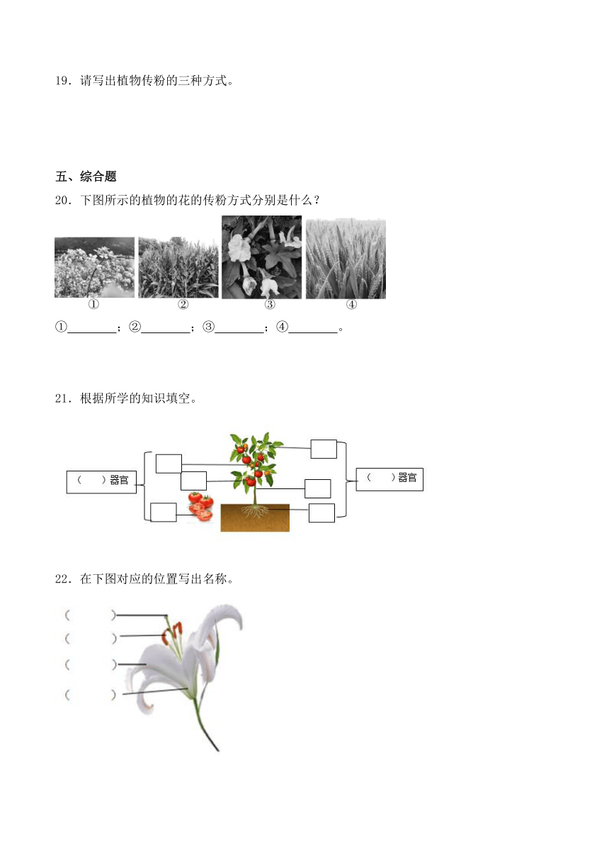 三年级科学下册（苏教版）第3课植物开花了（同步阶段练习）（含解析）