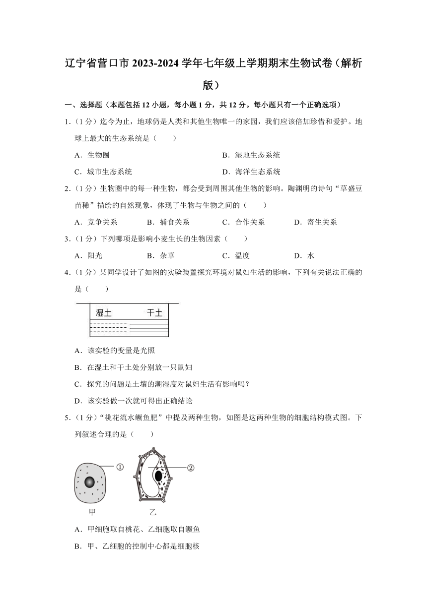 辽宁省营口市2023-2024学年七年级上学期期末生物试卷（含解析）
