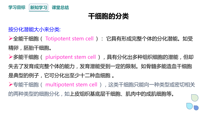 4.2.1细胞通过分化产生不同的细胞（一） 课件(共23张PPT) 2023-2024学年高一生物浙科版（2019）必修第一册