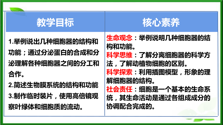 3.2细胞器之间的分工合作(第1课时)(共38张PPT)课件 人教版（2019）必修1