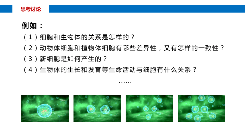 1.1细胞是生命活动的基本单位课件（共29张PPT） 生物人教版必修1