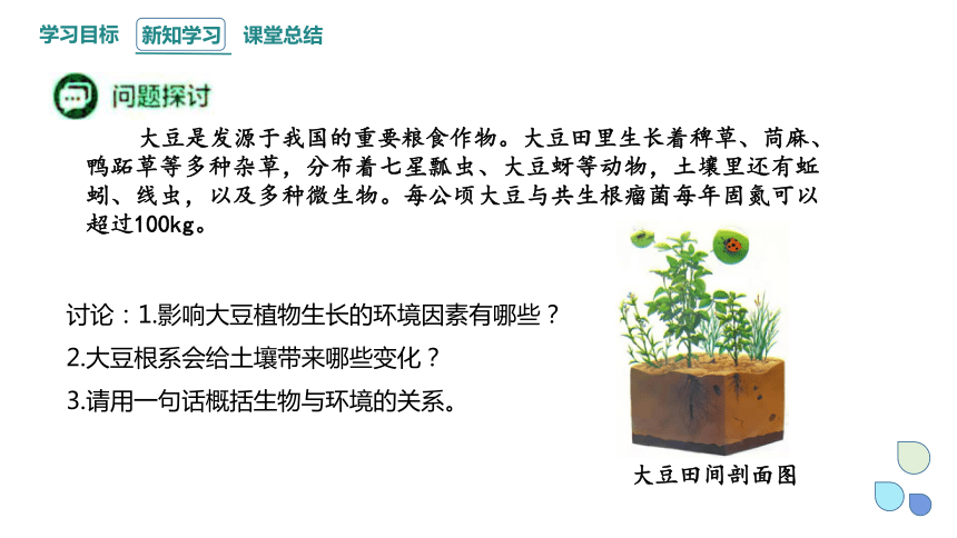 3.1 群落与非生物环境组成生态系统 课件(共22张PPT) 2023-2024学年高二生物浙科版（2019）选择性必修2