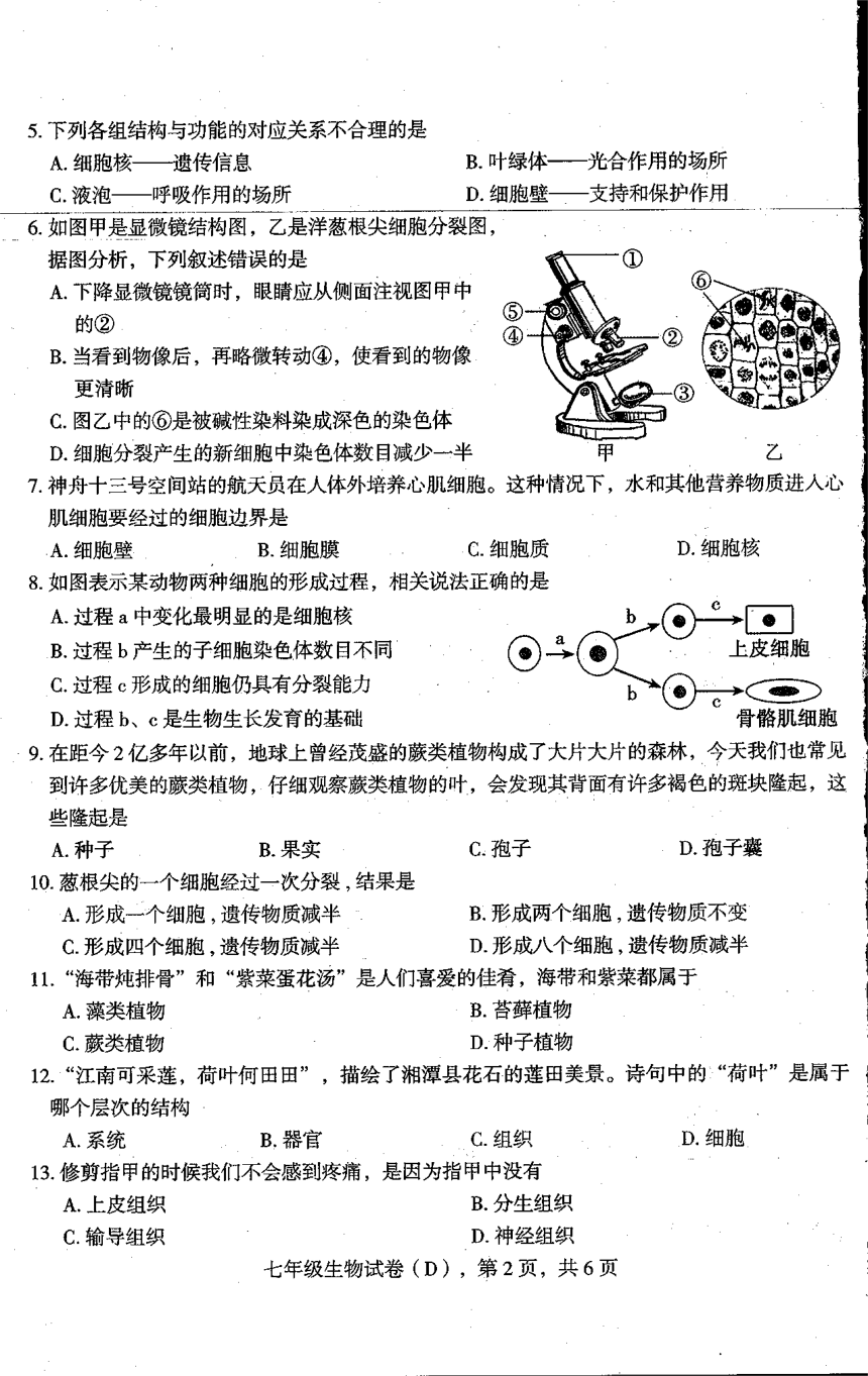 河北省石家庄市新乐市2023-2024学年七年级上学期期末生物试题（PDF版无答案）