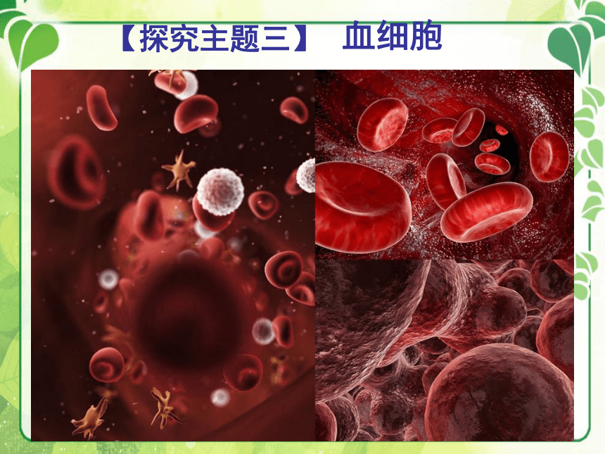 北师大版七下生物 9.1血液 课件（25张PPT）
