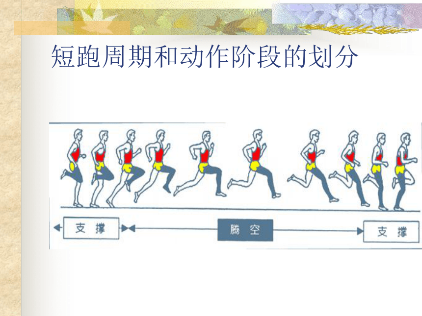 初中体育与健康《跑的技术原理》课件 (32张PPT)