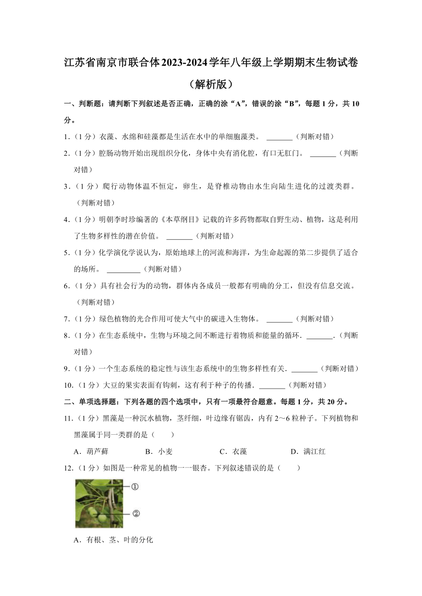 江苏省南京市联合体2023-2024学年八年级上学期期末生物试卷（含解析）