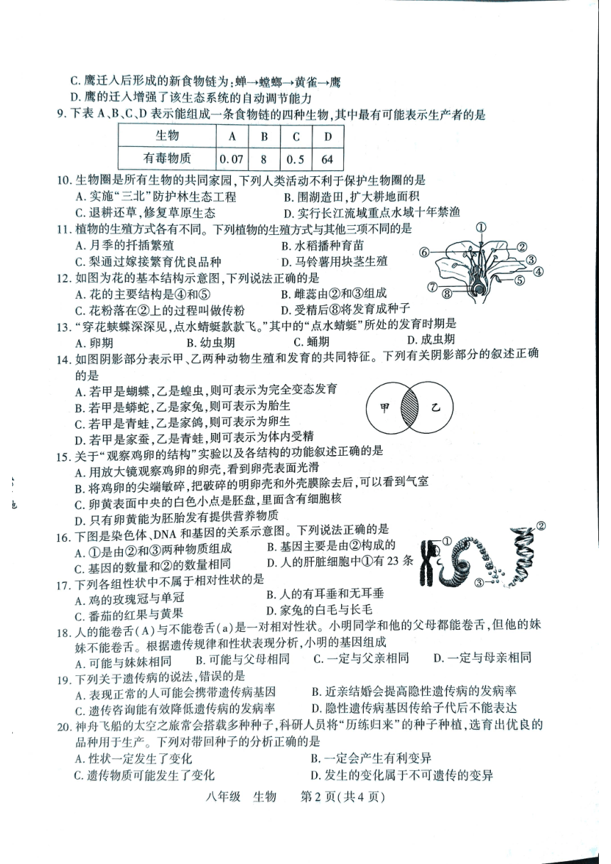 河南省洛阳市伊川县2023-2024学年八年级上学期期末生物试题（PDF版无答案）
