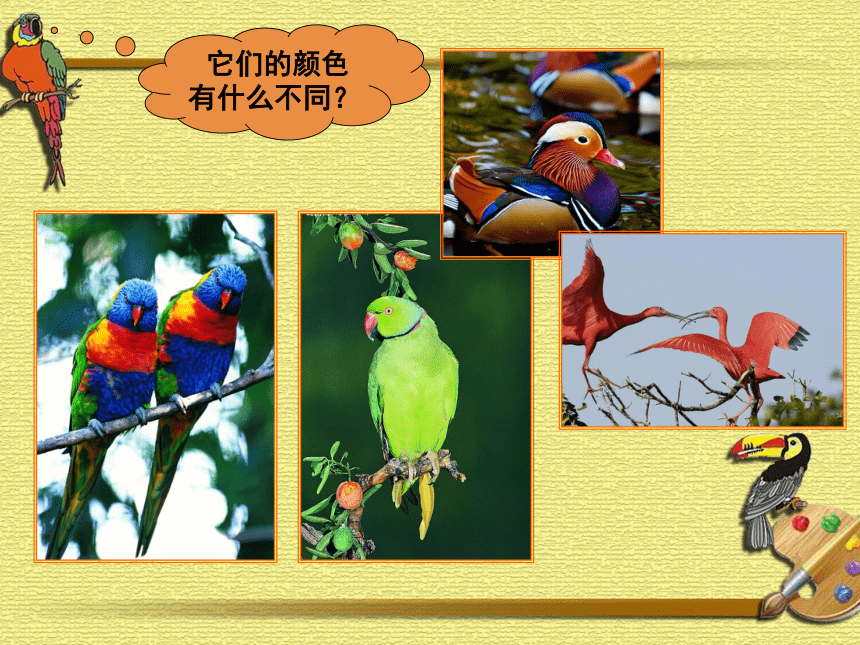 人美版(北京) 美术一年级下册10鸟是人类的朋友 课件(共25张PPT)