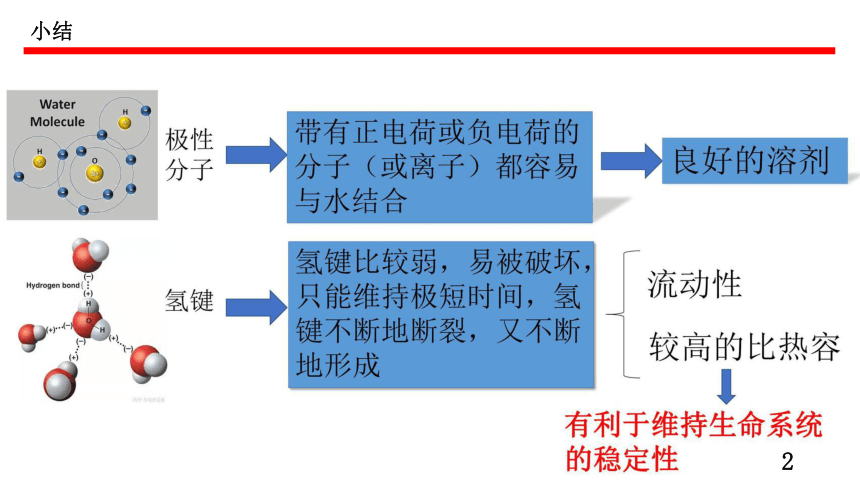 2.2细胞中的无机物课件-(共48张PPT1份视频)课件人教版（2019）必修1