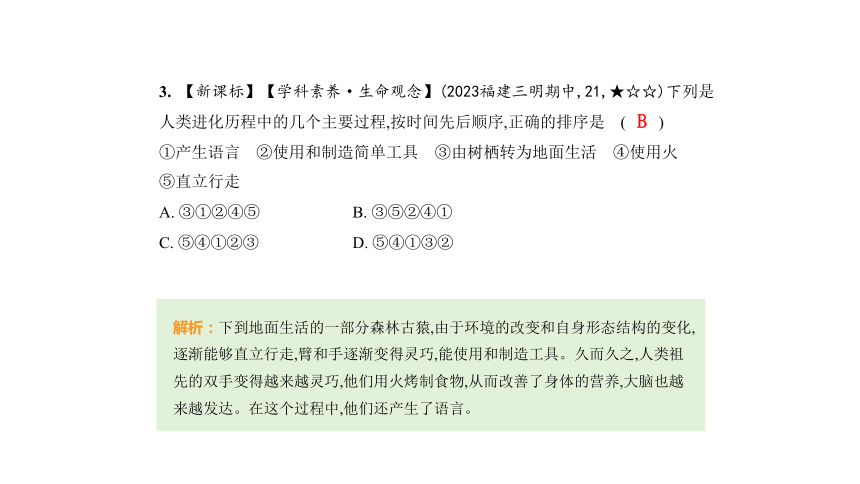 4.1人的由来习题课件(共35张PPT)人教版七年级下册