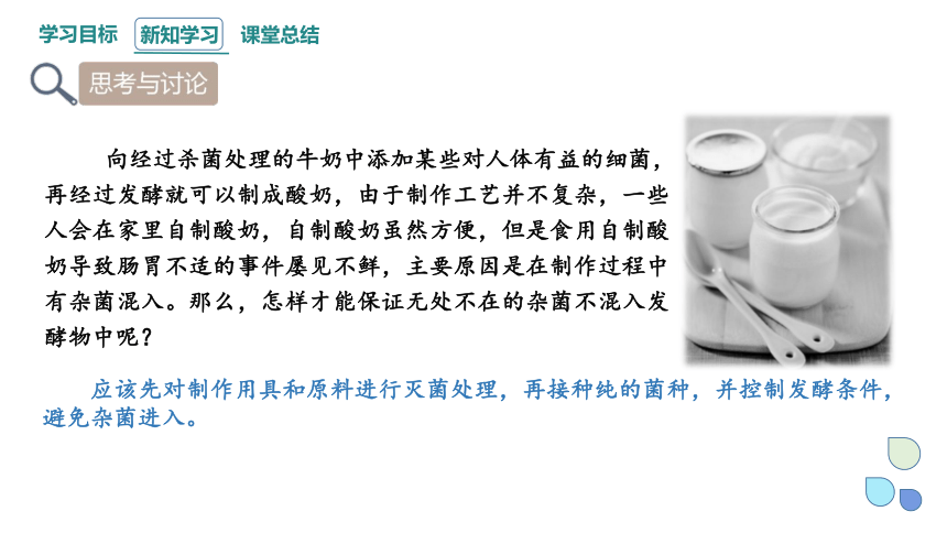 1.2 课时1 微生物的基本培养技术  课件(共30张PPT) 2023-2024学年高二生物人教版（2019）选择性必修3