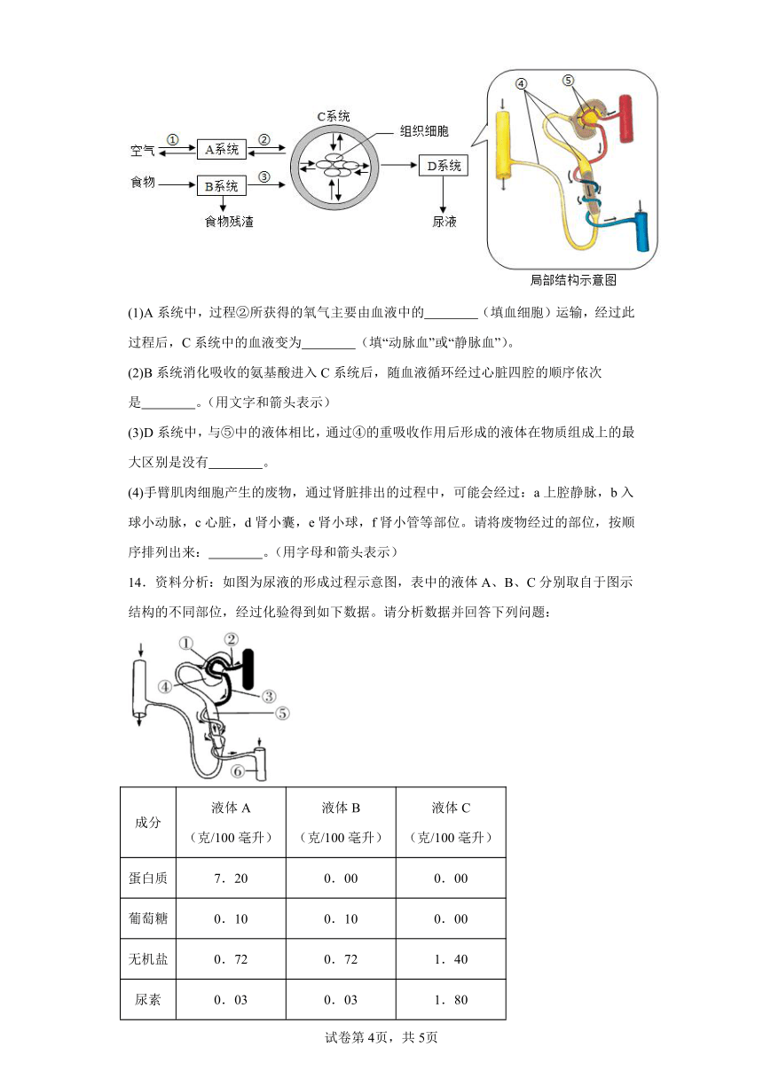 4.5人体内废物的排出 分层作业 七年级生物下册人教版（含解析）