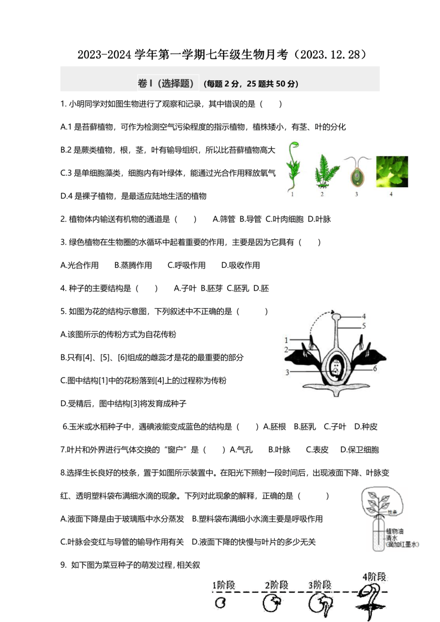 福建省福州市第三十二中学2023-2024学年七年级上学期12月月考生物试题（PDF版无答案）